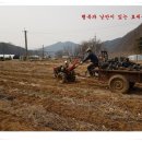 효세농장 이미지