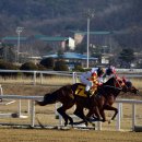 경마공원 이미지