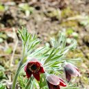 병목안시민공원 이미지