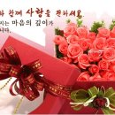신암면011 Daum카페