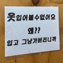 고추잠자리호텔 | 강릉갈래? 릉! 🌊🐳 Day 1
