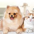 우리집강아지 이미지