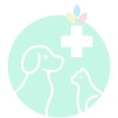 하일동물병원 이미지