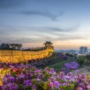 야탑역.종합버스터미널(광역버스) 이미지