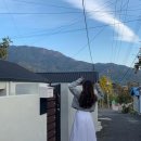 스테이유을 이미지