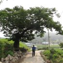 춤다리쉼터민박 이미지