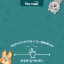 마레동물병원