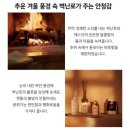 더플레이스바이(theplaceby) | [화장품]메종 마르지엘라 바이 더 파이어플레이스 캔들 내돈내산 후기