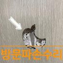 문파손 문짝교체비용 보다 효율적인 문짝수리 가능합니다.