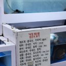 세븐일레븐 원주단관택지점 | 원주 단관택지 맛집 위찜｜단구동 조개 갈비찜 솔직 후기(+주차 꿀팁)
