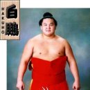 스모 - 송파구 오금로44길 47 | 스모