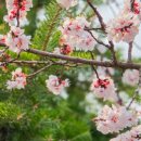 마북근린공원 이미지