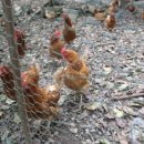 영화속풍경민박 이미지