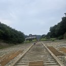 옥순대교 | 충주호 유람선 장회나루 가족여행 휠체어 후기