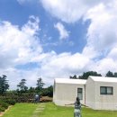 [2월제주] 비오는 날 서귀포 가볼만한 곳들 | 친구들과 알차게 즐긴 겨울제주(오일장, 수제비, 원데이...