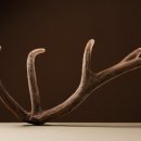 신탄진탑한의원 이미지