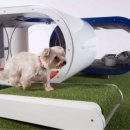 삼성애견 이미지