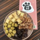 네발총총 이미지