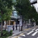 카카오프렌즈 앞 횡단보도 이미지