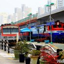H1254 이미지