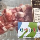 산소를품은고기 이미지