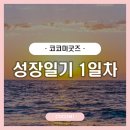코코미굿즈