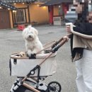 에스탑크라운