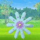 리그레이드 이미지