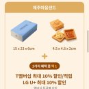 샌드베어 이미지