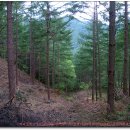 둔내유스호스텔 이미지