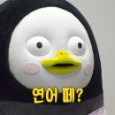 고조선수산