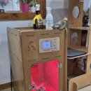 꽃길 걷는 고양이 이미지