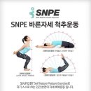 SNPE 바른자세 척추운동 이미지
