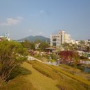 금왕읍사무소 이미지