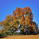 서울 송파구 올림픽공원 (&#39;25.11.15) 이미지