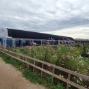 진솔농장 이미지