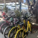 거북이식당 | 발리 길리 거북이포인트 스노클링 La Moomba 라뭄바 식당 후기