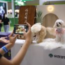 2025년 반려동물 박람회 소개, 방문시 꿀팁