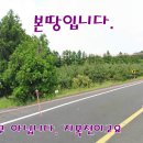 가시리 이미지