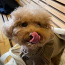 땡스오트 연남 이미지