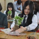 한국인터넷뉴스