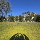 훈데르트바서파크 이미지