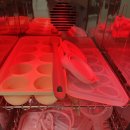 네모미음 | 5개월아기 초기 이유식 준비 자이티 이유식큐브용기 내돈내산후기