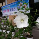 성가정유치원 이미지