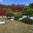 무릉도원면-3 이미지