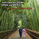 이동616 주변 | [일본 여행 2일차 후기] (교토) 아라시야마 치쿠린, 노노미야 신사, 도게츠교, 기요미즈데라, 산넨자카...