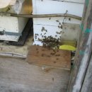 도봉-도봉-2010 이미지