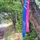 낙동강체육공원 파크골프장좌측 | 부산 삼락생태공원 + 욜로갈맷길 9코스