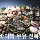 진서식품 이미지