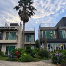 섶섬 아우룸 이미지